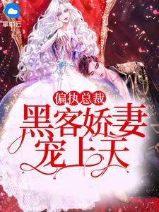 偏执总裁,黑客娇妻宠上天宫芷琪况启寒