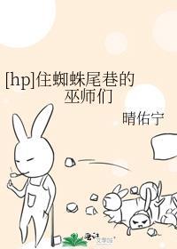 住蜘蛛尾巷的巫师们