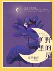 旷野裏的星