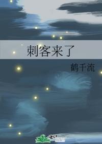 刺客来了