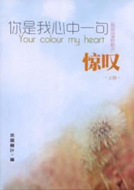 你是我心中一句惊嘆