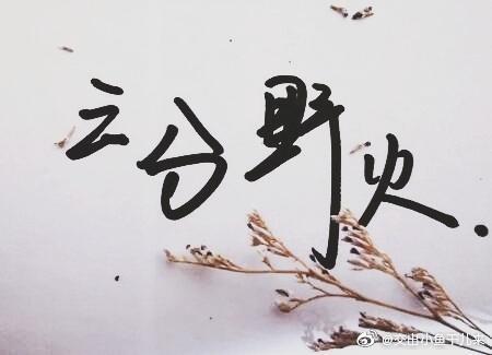 刑侦:三分野火