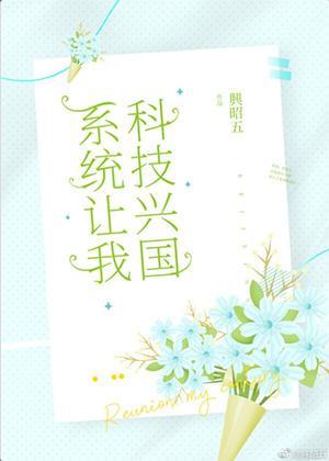 系统让我兴国
