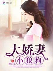 大娇妻,小狼狗
