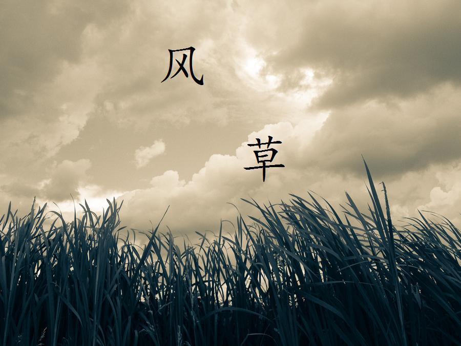 彼岸的风