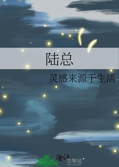 陆总