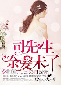 33日困情:司先生,余爱未了顾以婳司夜瑾