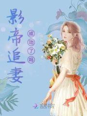 影帝追妻成功了吗