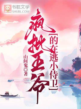 疯批王爷的在逃小侍卫