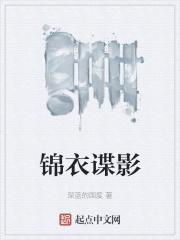 锦衣谍影