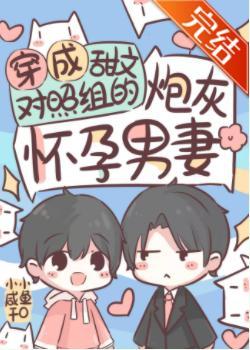穿成大佬的炮灰怀孕男妻