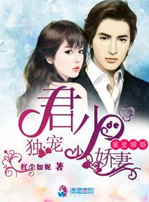 暖婚蜜爱:君少独宠小娇妻