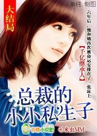 千亿继承人,总裁的小小私生子