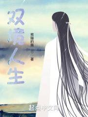 双境人生
