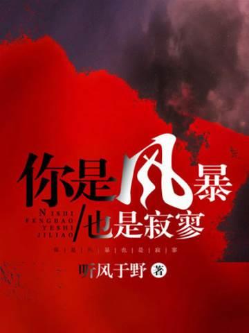 你是风暴,也是寂寥