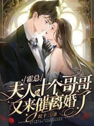 霍总,夫人的十个哥哥又来催离婚了