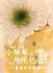 [hp]小雏菊与大尾巴狼