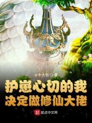 请妃入瓮:纨绔王爷神偷妻