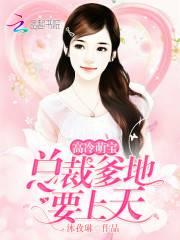 高冷萌宝:总裁爹地,要上天!