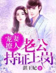 宠妻撩人：老公持证上岗