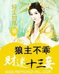 狼主不乖:财迷十三妾
