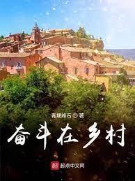 奋斗在乡村