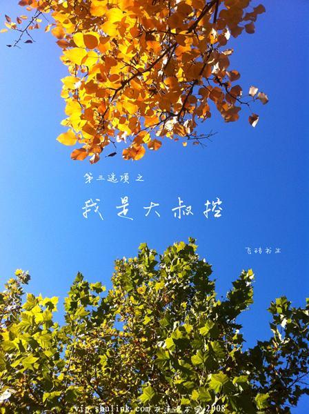第三选项之我是大叔控