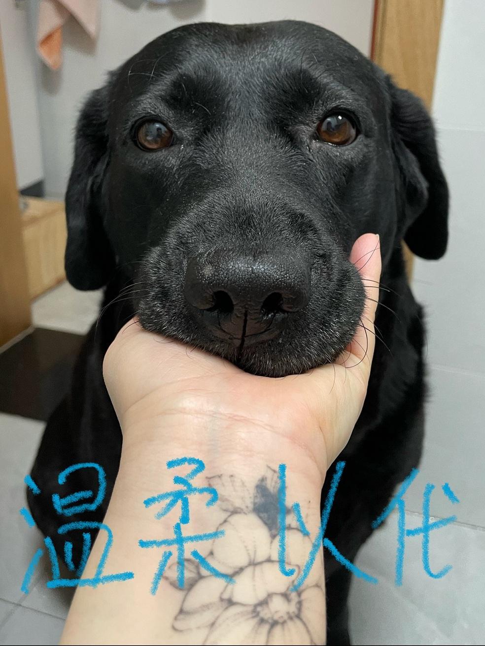 温柔以代