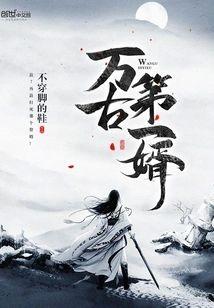 万古第一婿
