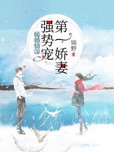 暖婚情深:第一娇妻强势宠