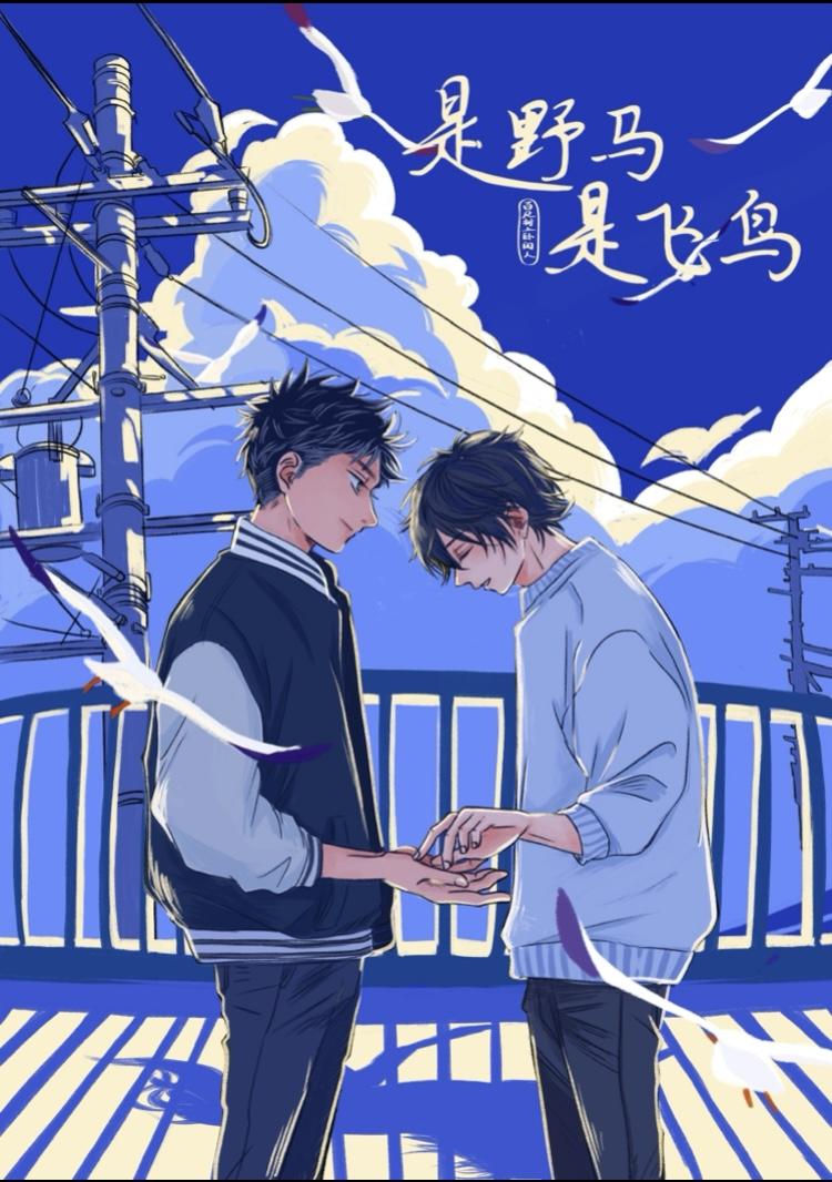 是野马,是飞鸟