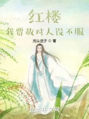 红楼:忠孝两全贾恩候