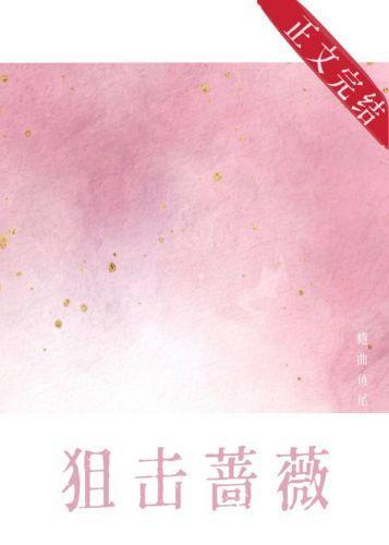 狙击蔷薇