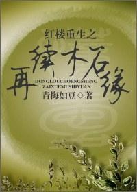 红楼重生之再续木石缘