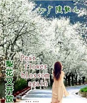 梨花又开放GL