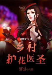 乡村护花医圣