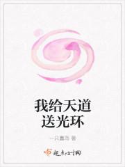 我给天道送光环