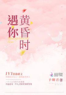 黄昏时遇你