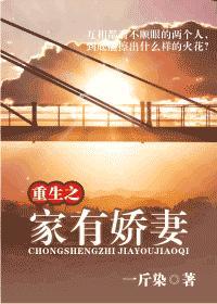 重生之家有娇妻