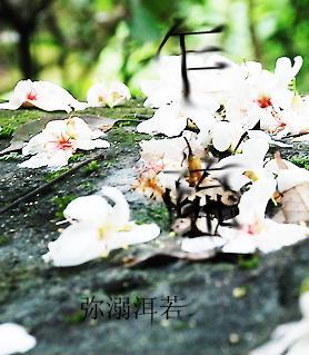 乍疏