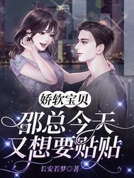 娇软宝贝:邵总今天又想要贴贴