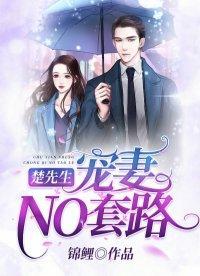 楚先生,宠妻NO套路