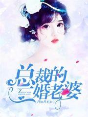 总裁的二婚老婆