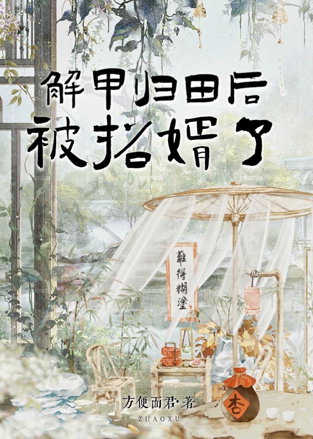解甲归田后,被招婿了