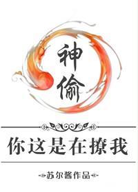 神偷,你这是在撩我