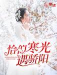 恰似寒光遇骄阳(慕容朵穆北辰)