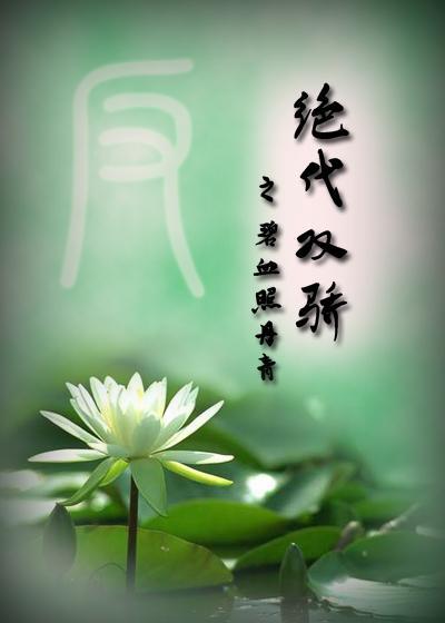 反·绝代双骄之碧血照丹青