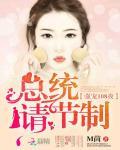 强宠108夜:总统,请节制