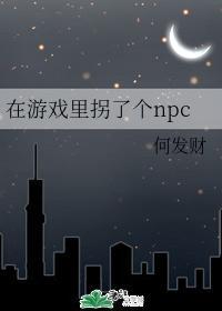 在游戏裏拐了个npc