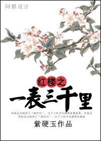 红楼之一表三千裏